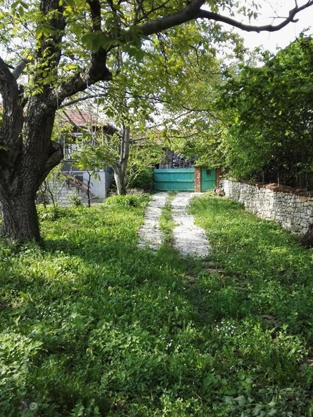 Beefree Villa Gorsko Slivovo Exterior photo